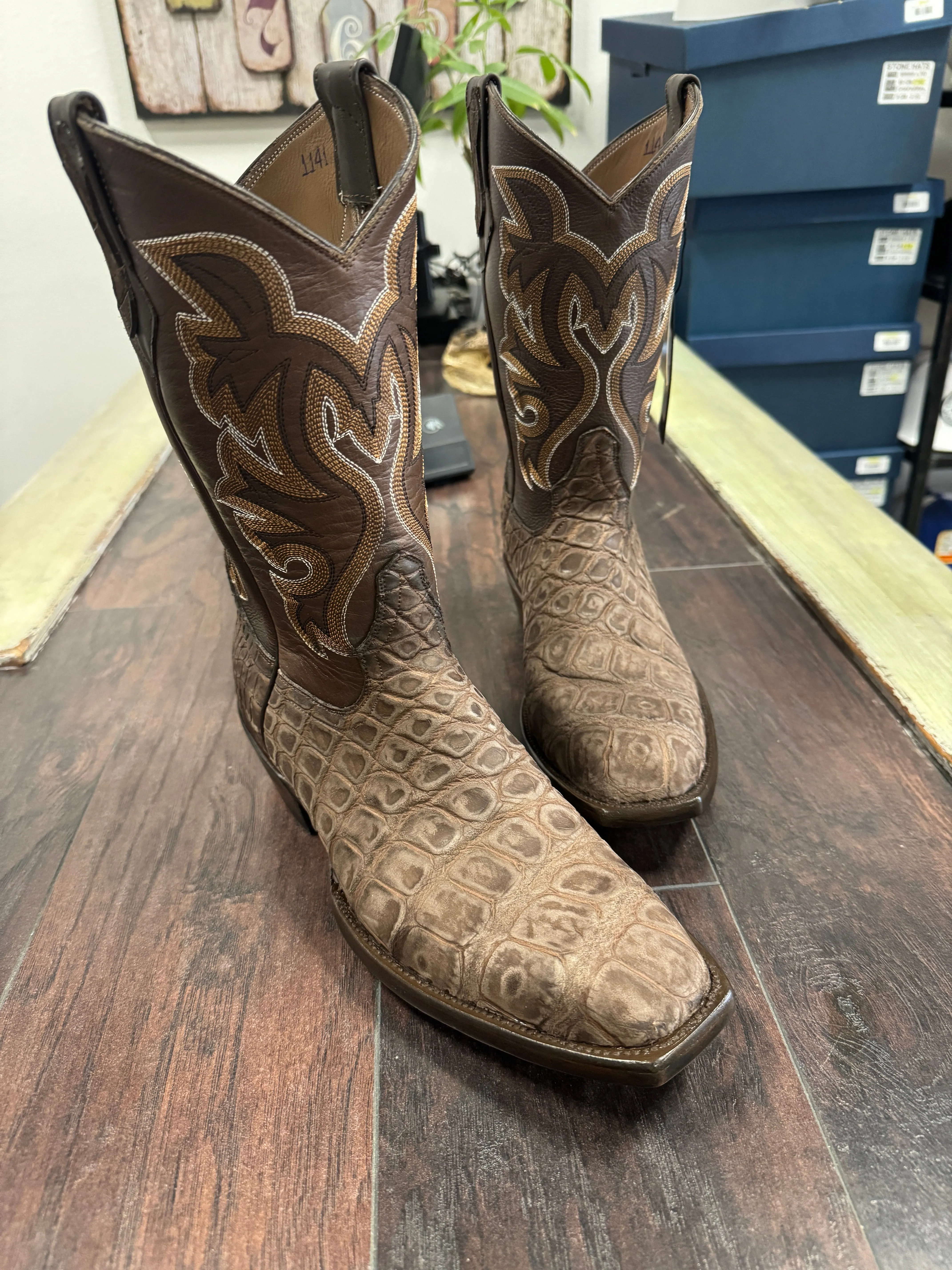 American Alligator-Rustic Brown