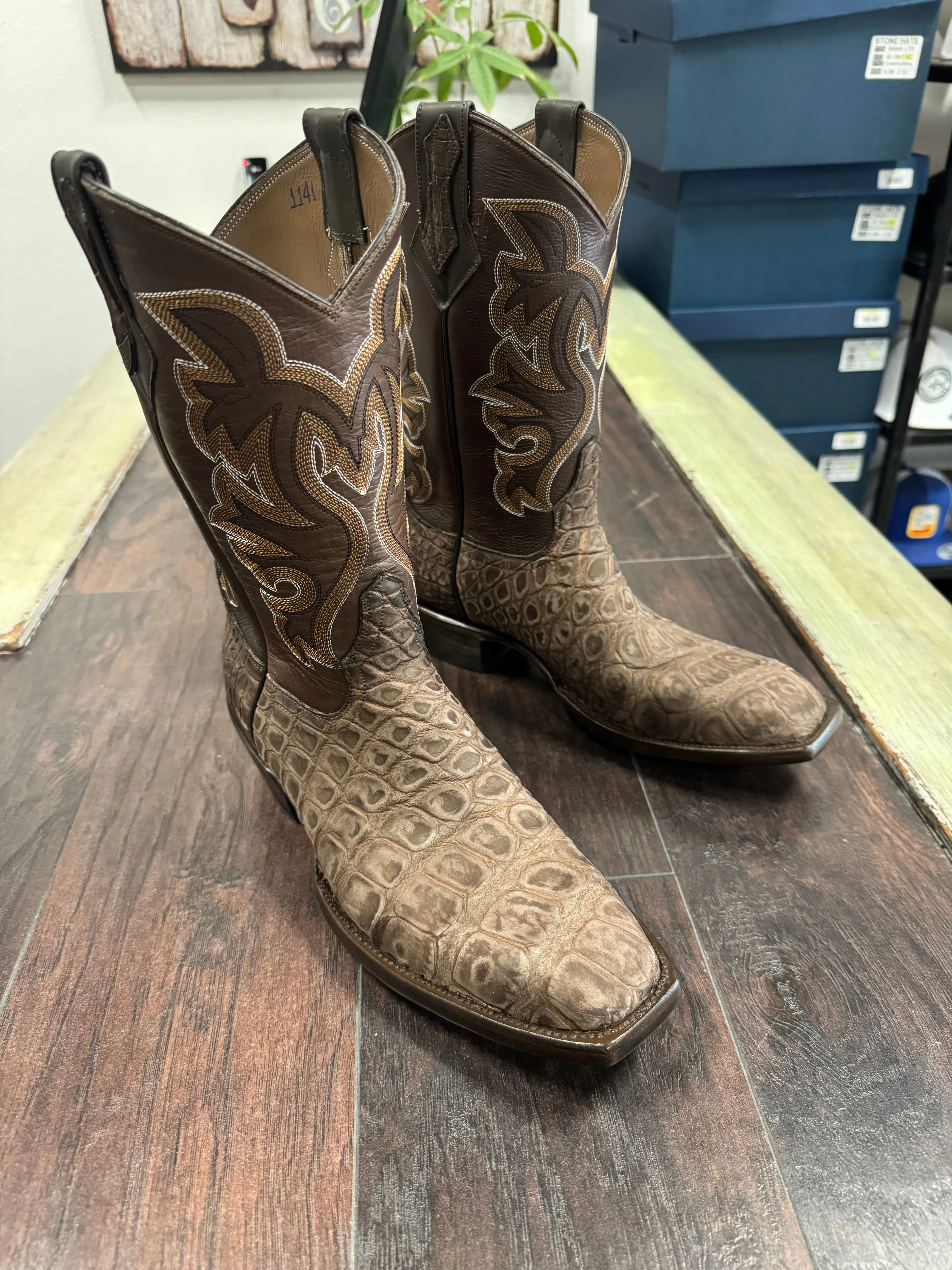 American Alligator-Rustic Brown