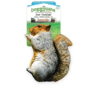 Doggijuana - "Get Outdoors" Squirrel