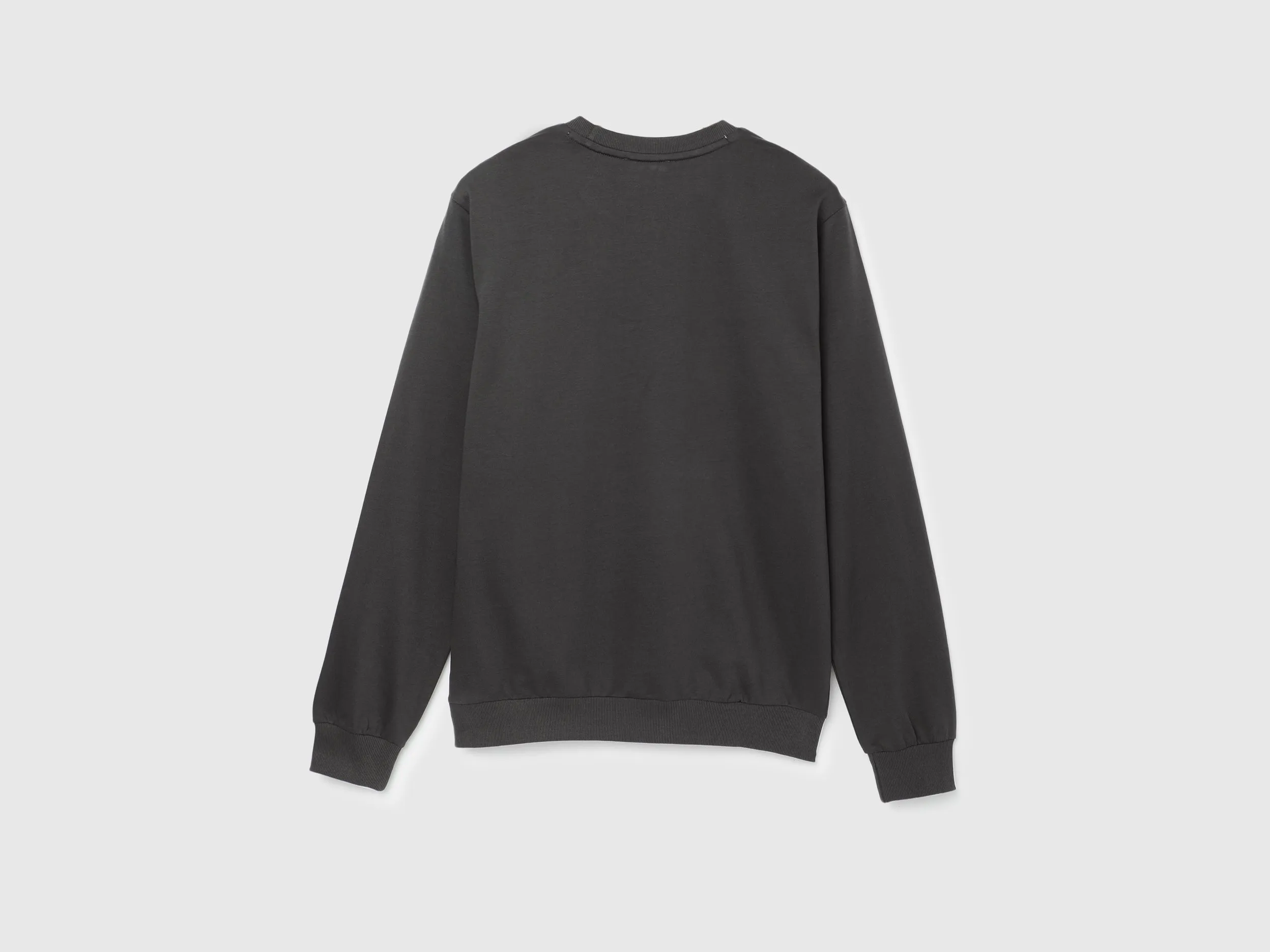 Regular Fit Round Neck Solid Sweatshirt