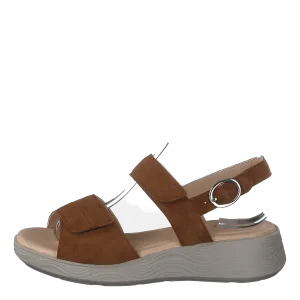 Swing Brown
